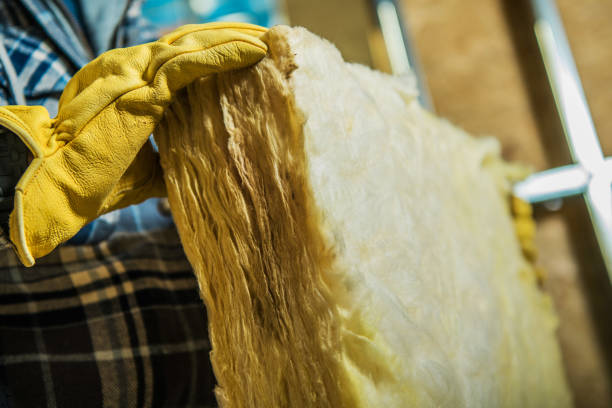 Best Specialized Insulation Services in Fris, CO
