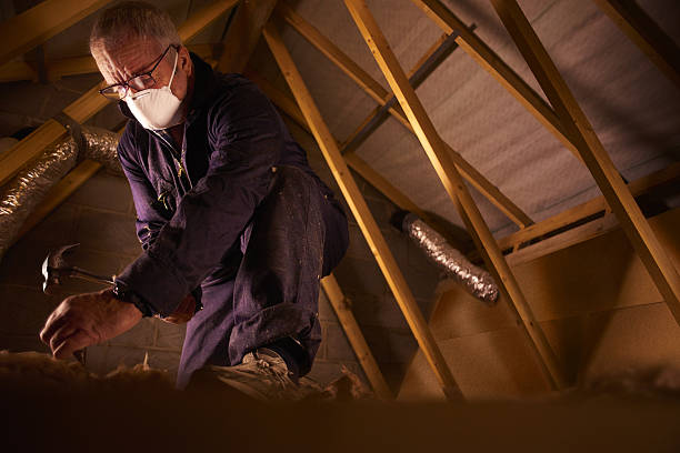 Best Commercial Insulation in Fris, CO